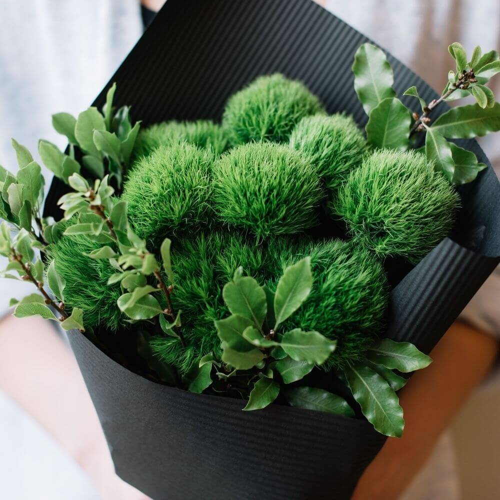 Bouqet of Soft ruffled green flowers 