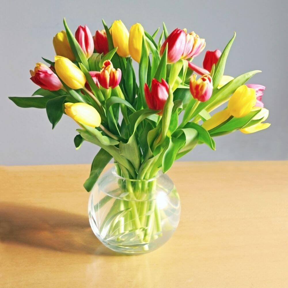 Bouqet of Vibrant tulips