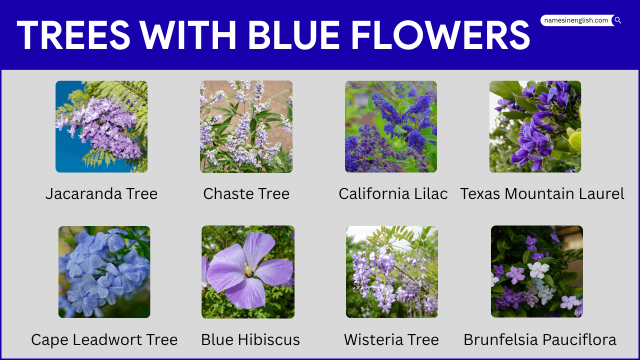 trees with blue flowers