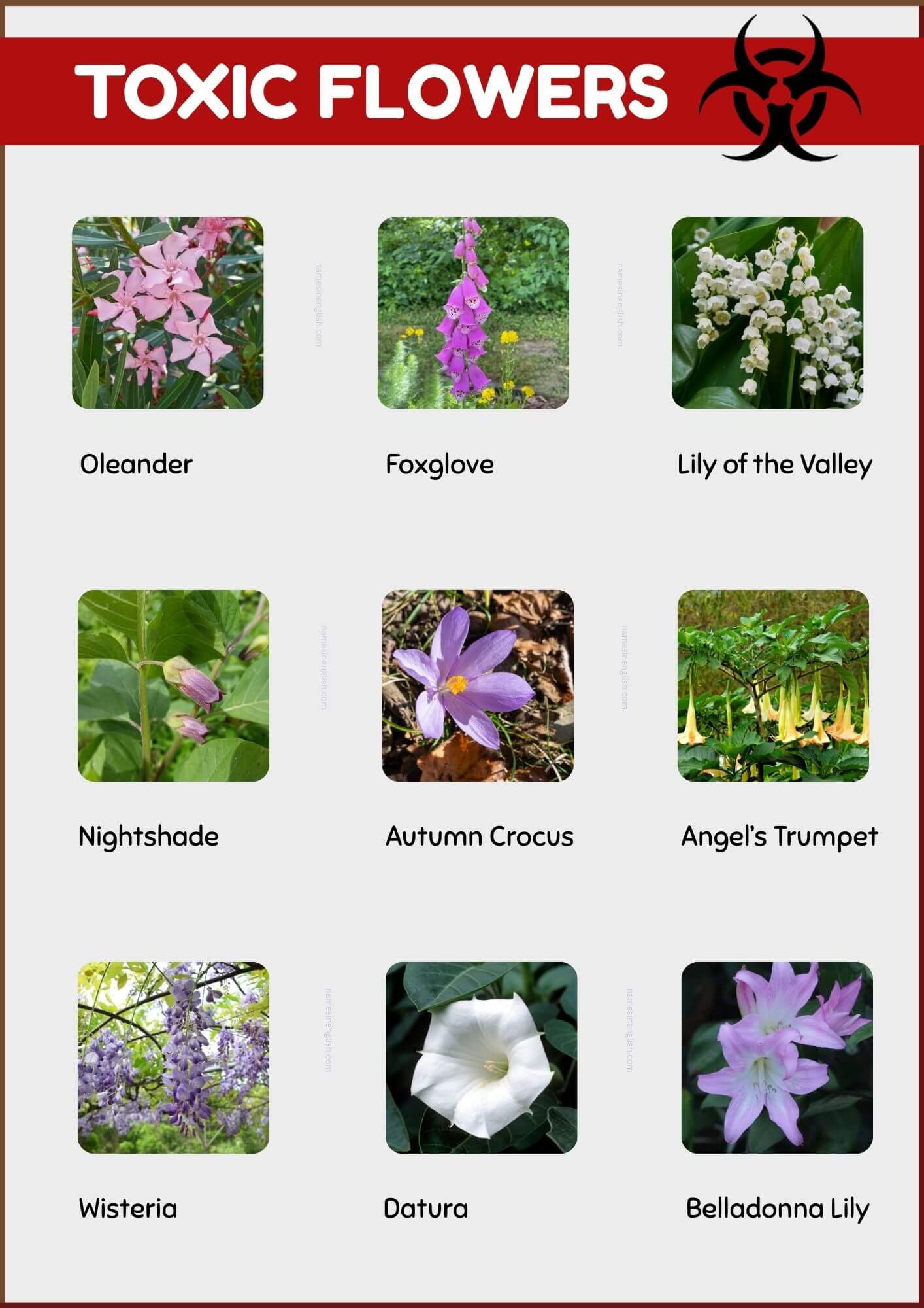 Poisonous Flower Names