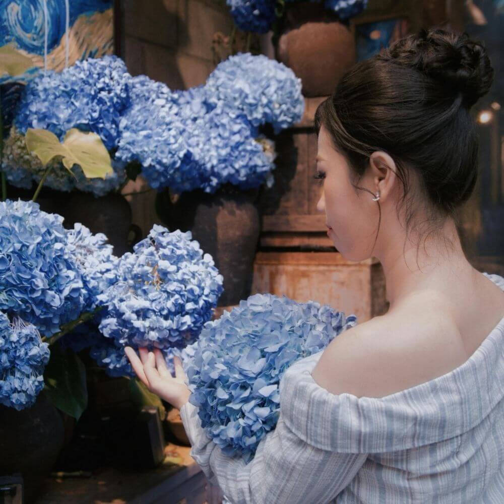 Girl admiring Blue Hydrangea flowers cluster