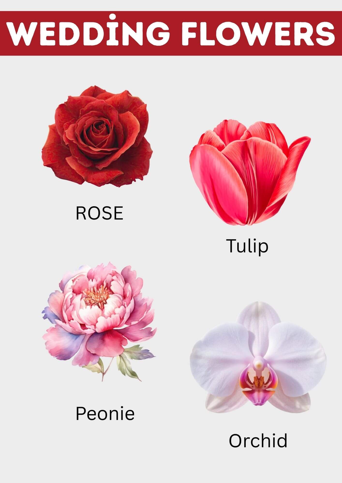 Best types of wedding flowers