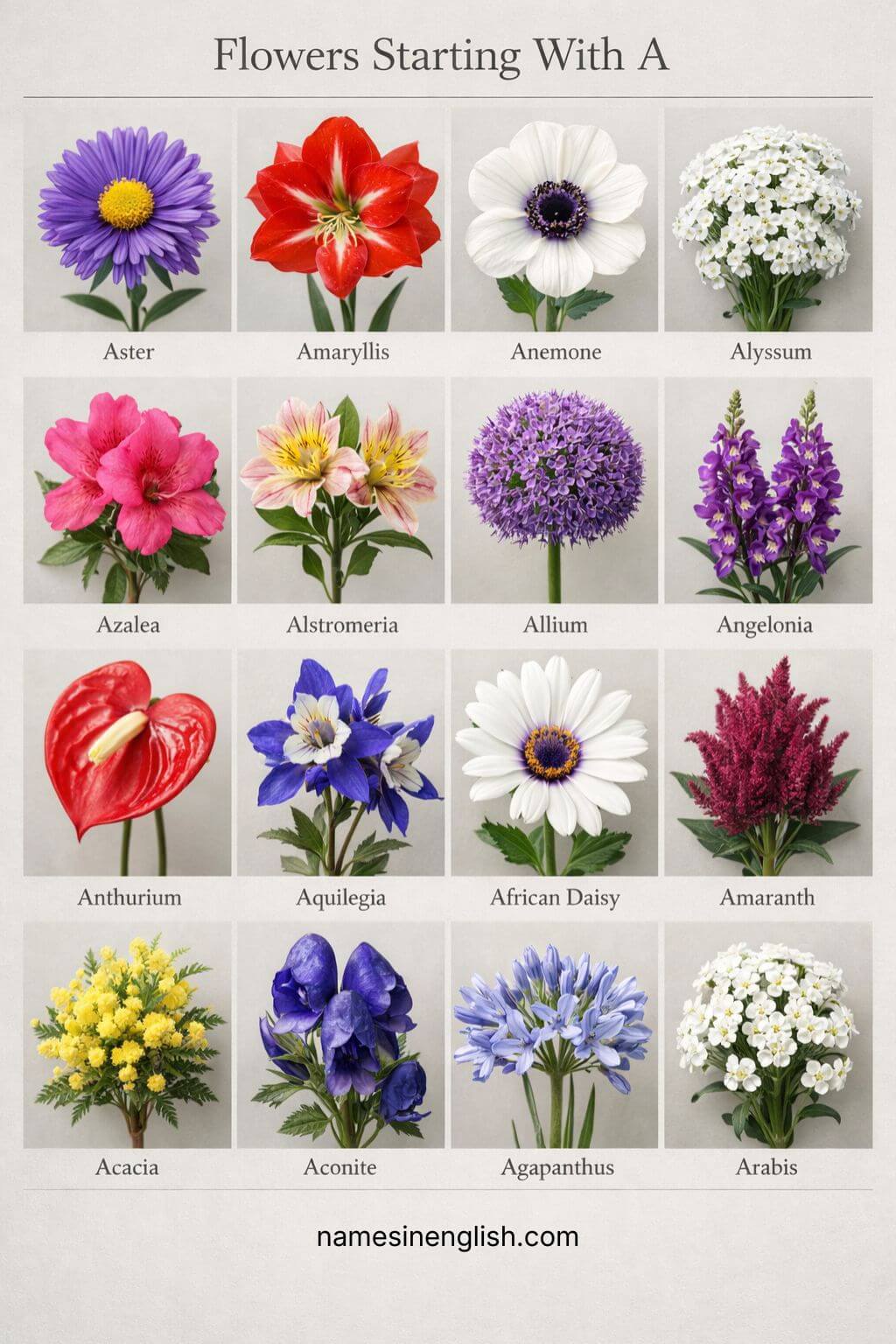 Flower Names Starting With A