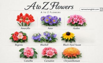 A to Z Flower Names