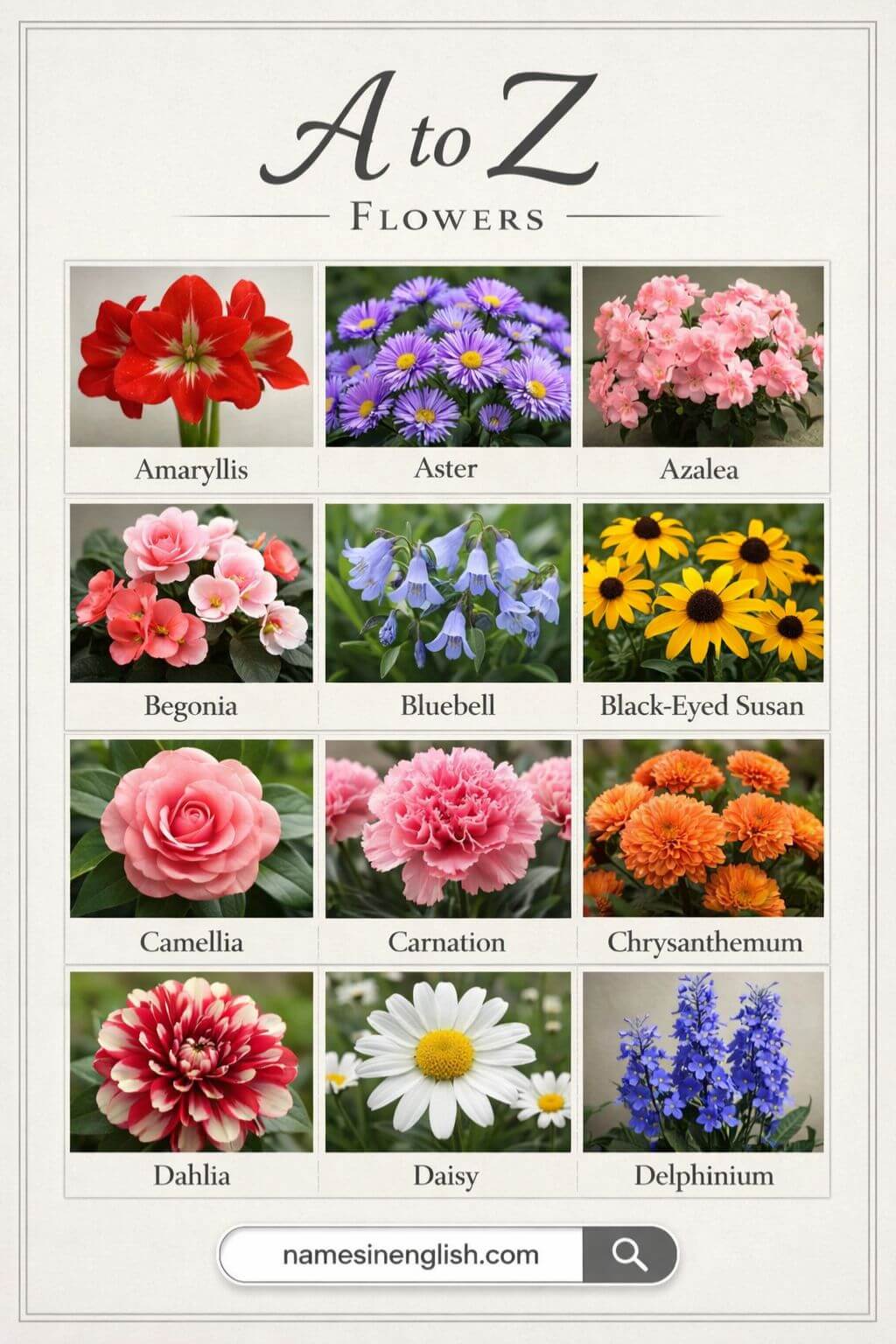 A to Z Flowers List