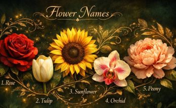 Flower Names in English