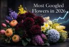 Most Googled Flower Names in 2026