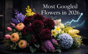 Most Googled Flower Names in 2026