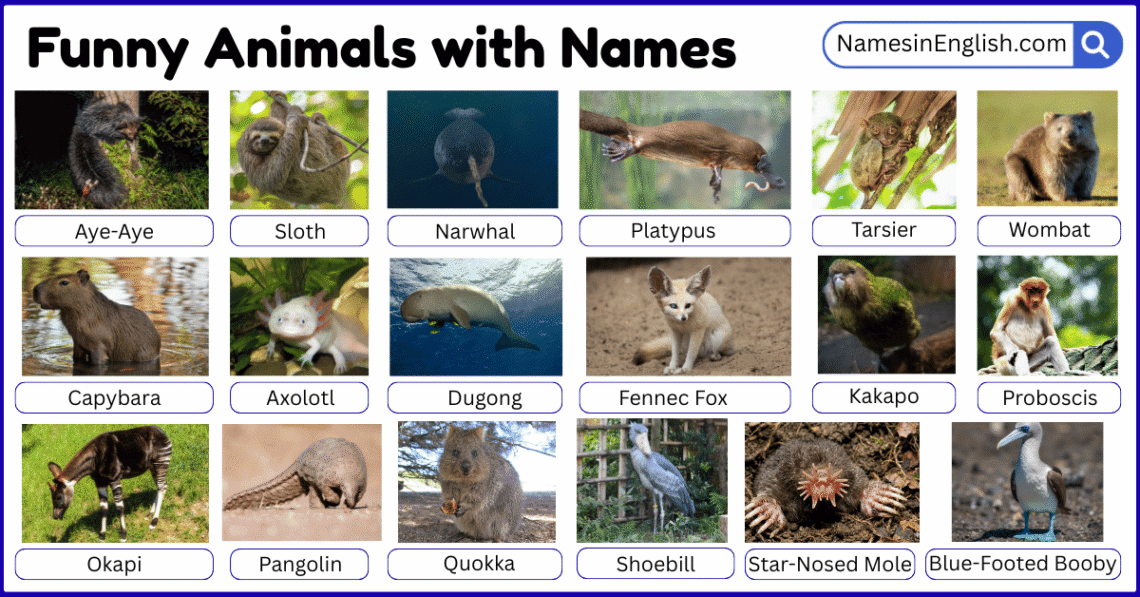 25 Strangest Animal Names in The World