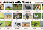 40 Farm Animals with Names in English with Pictures