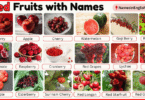 40 Red Fruits with Names in English with Pictures