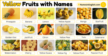 40 Yellow Fruits with Names in English with Pictures