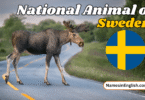 National Animal of Sweden with Name and Picture