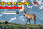 National Animal of Switzerland with Name and Picture