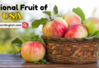 National fruit of USA with name and Their Picture