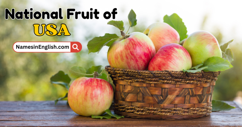 National fruit of USA with name and Their Picture