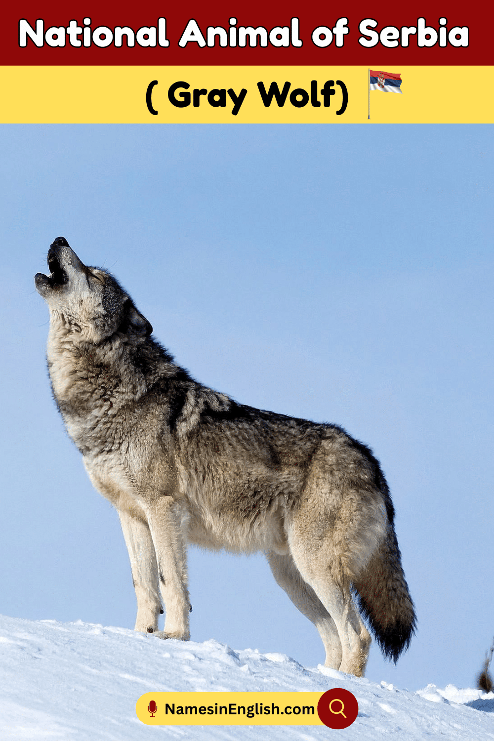 Name of National Animal of Serbia