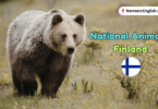 National Animal of Finland with Name and Picture