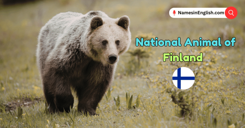 National Animal of Finland with Name and Picture