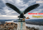 National Animal of Hungary with Name and Picture