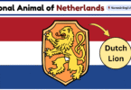 National Animal of Netherlands with Name and Picture