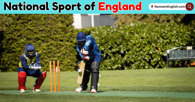 National Sport of England with Name and Pictures