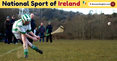 National Sport of Ireland with Name and Pictures