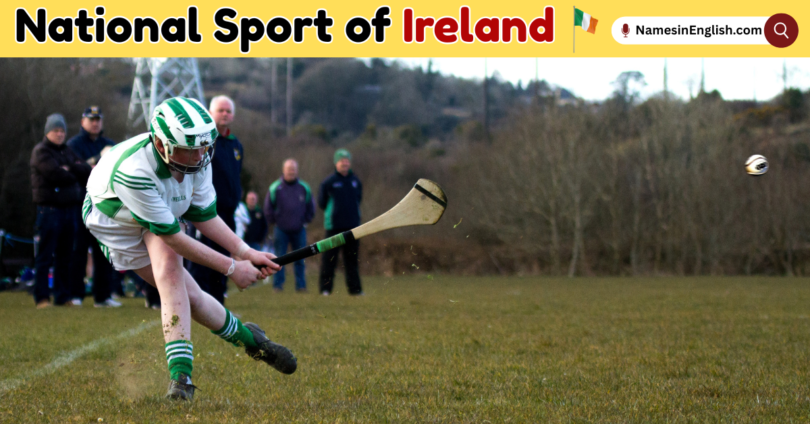 National Sport of Ireland with Name and Pictures