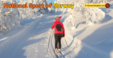 National Sport of Norway with Name and Picture