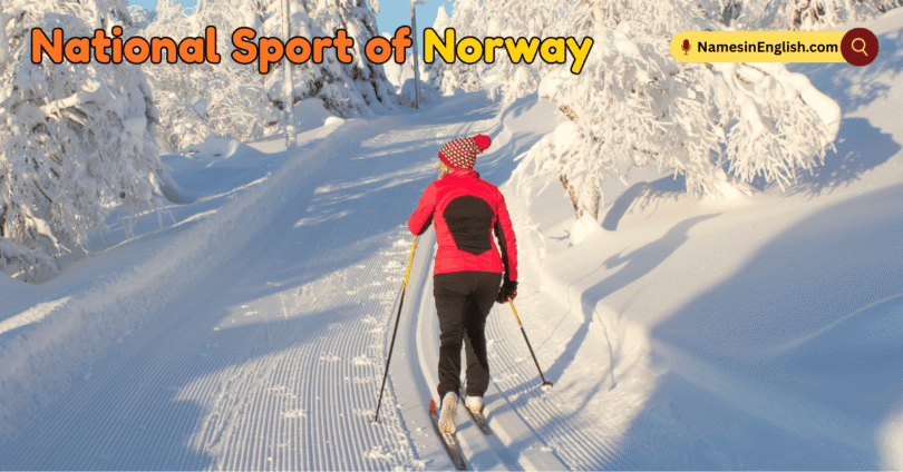 National Sport of Norway with Name and Picture