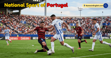 National Sport of Portugal with Name and Picture