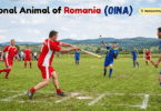 National Sport of Romania with Name and Picture