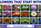 30 Flowers That Start With S With Names in English and Pictures