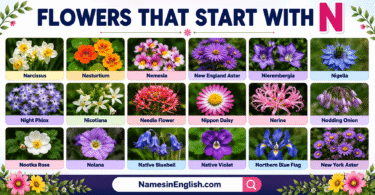 30 Flowers That Start with N with Names in English and Pictures