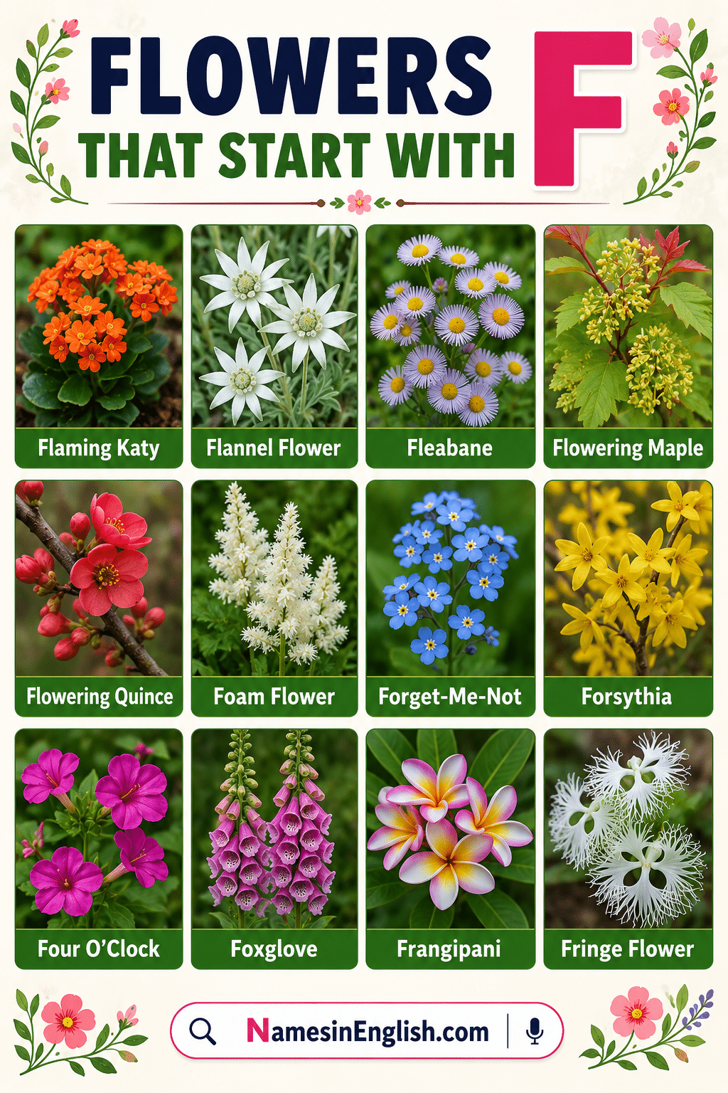 Flowers Beginning with F with Names in English and Pictures
