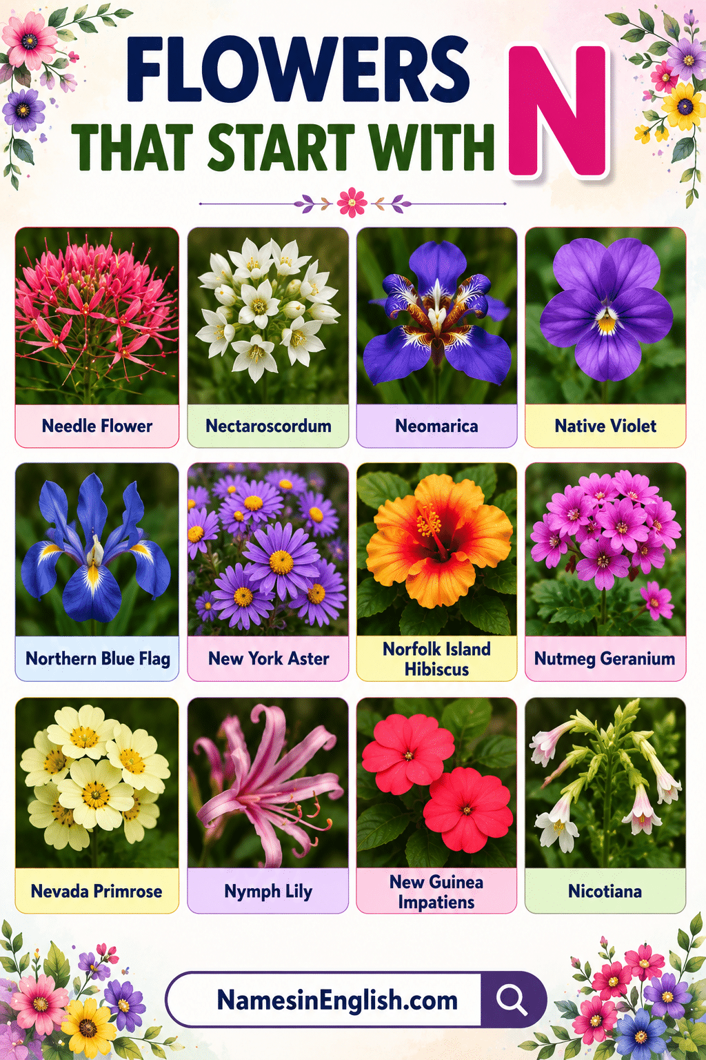 Flowers Beginning with N with Names in English and Pictures