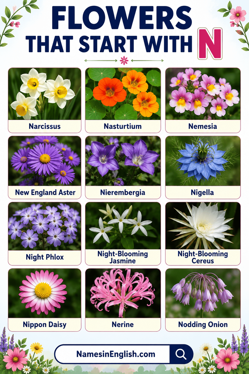 Flowers That Start with Letter N with Names and Pictures