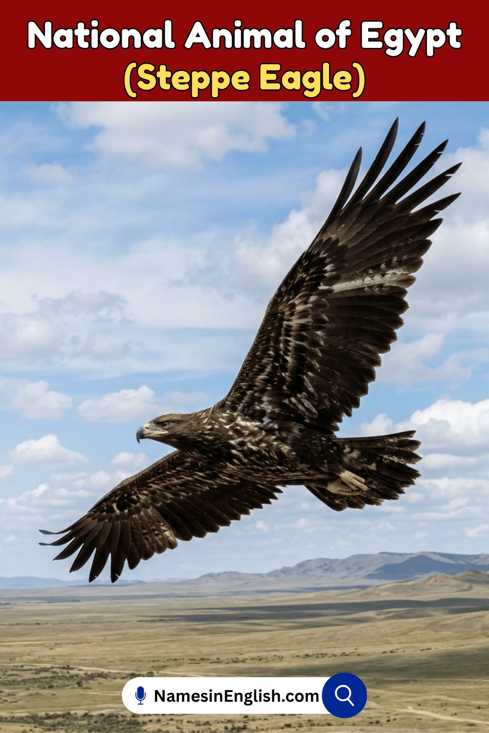 Name of National Animal of Egypt