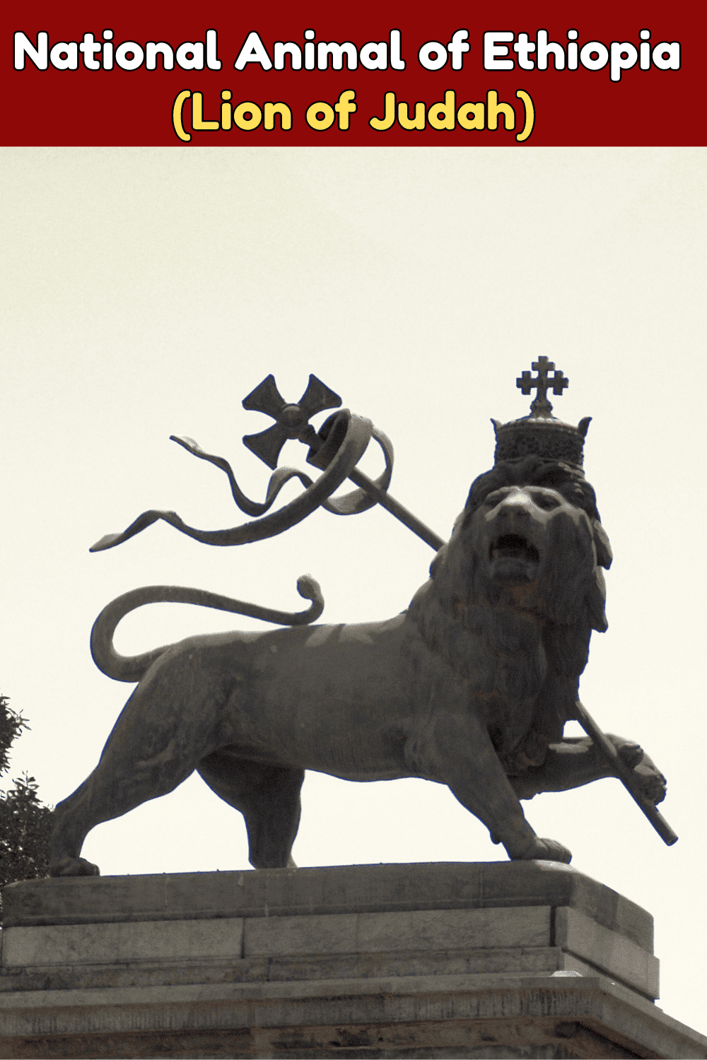 Name of National Animal of Ethiopia