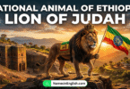 National Animal of Ethiopia with Name and Picture