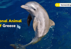 National Animal of Greece with Name and Picture