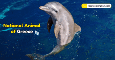National Animal of Greece with Name and Picture