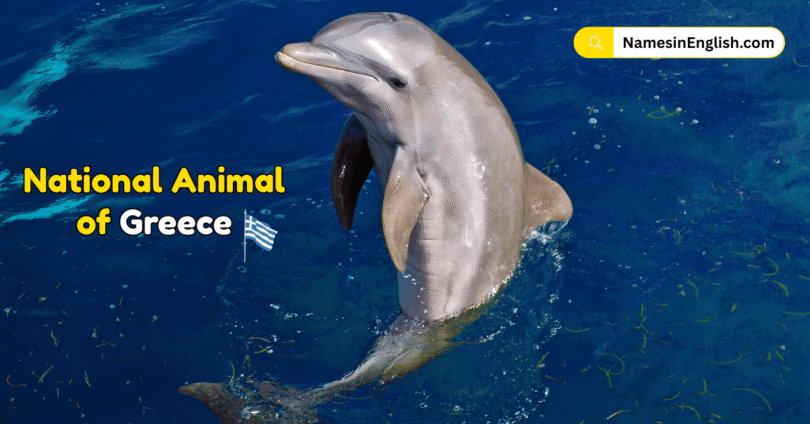 National Animal of Greece with Name and Picture