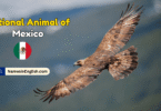 National Animal of Mexico with Name and Picture