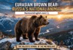 National Animal of Russia with Name and Picture