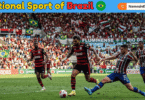National Sport of Brazil with Name and Picture