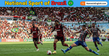 National Sport of Brazil with Name and Picture