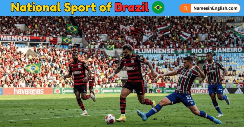 National Sport of Brazil with Name and Picture