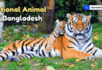 National animal of Bangladesh with Name and Picture