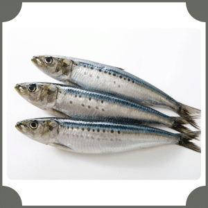 Sardine
